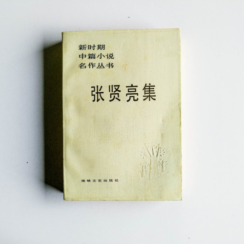 張賢亮集