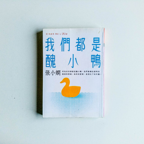 我們都是醜小鴨 我們都是醜小鴨