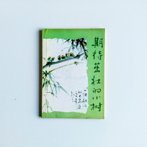 期待茁壯的小樹