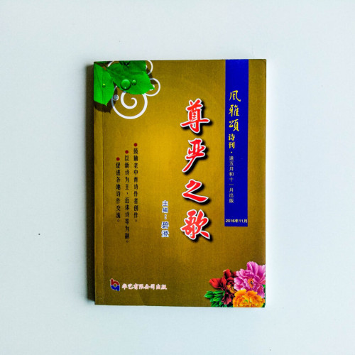 尊嚴之歌 尊嚴之歌