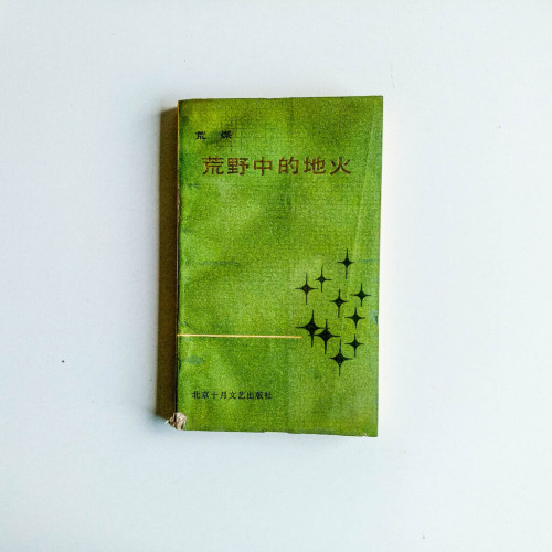 荒野中的地火 荒野中的地火