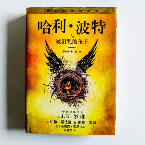 哈利波特與被詛咒的孩子 哈利波特與被詛咒的孩子