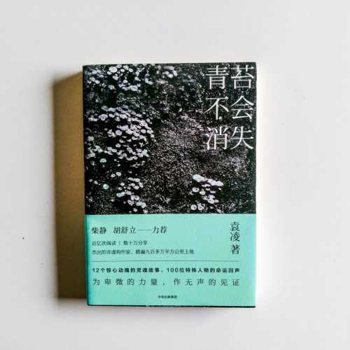 青苔不會消失 青苔不會消失