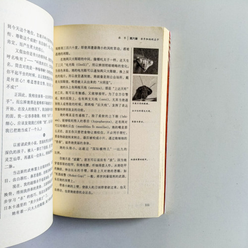 殺手正傳 殺手正傳