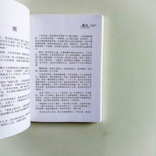 螢火 螢火