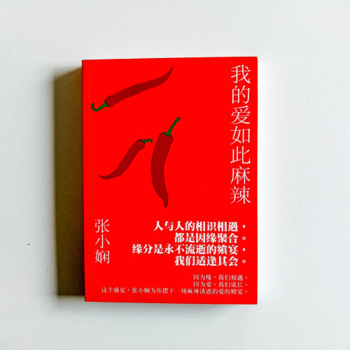 我的愛如此麻辣 我的愛如此麻辣