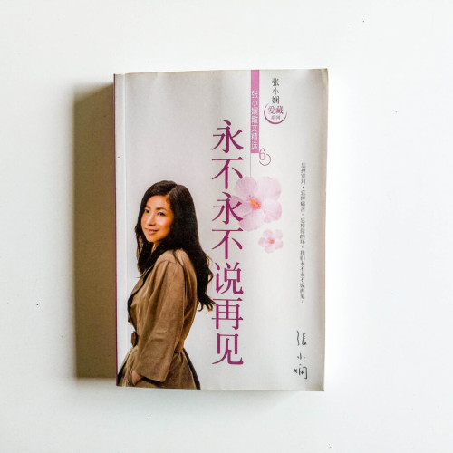 永不永不說再見 永不永不說再見