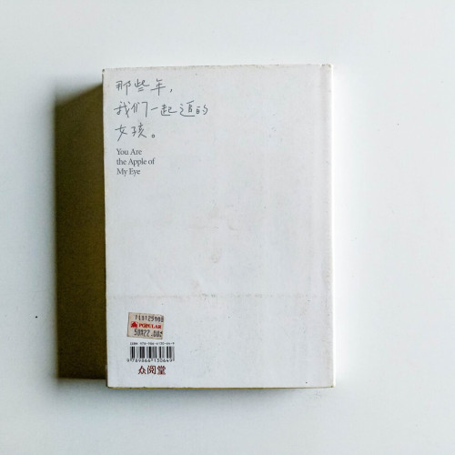 那些年,我們一起追的女孩(新馬電影海報搶先珍藏) 那些年,我們一起追的女孩(新馬電影海報搶先珍藏)