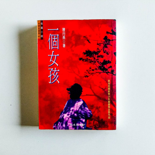 一個女孩 一個女孩