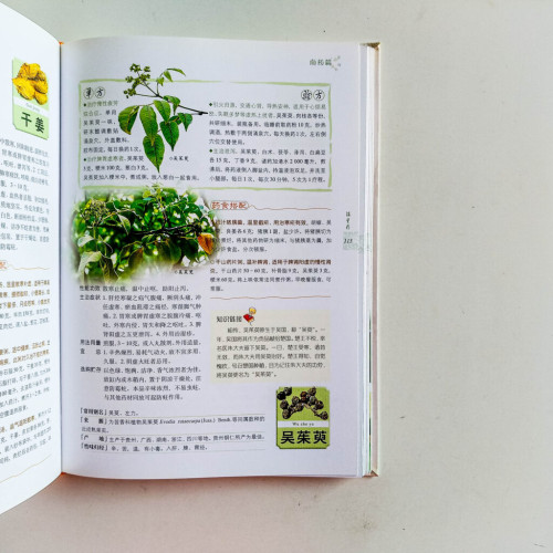 中藥原來這麼有用:南藥篇 中藥原來這麼有用:南藥篇