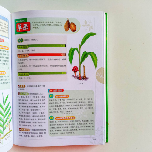 本草纲目養生圖鑑 本草纲目養生圖鑑