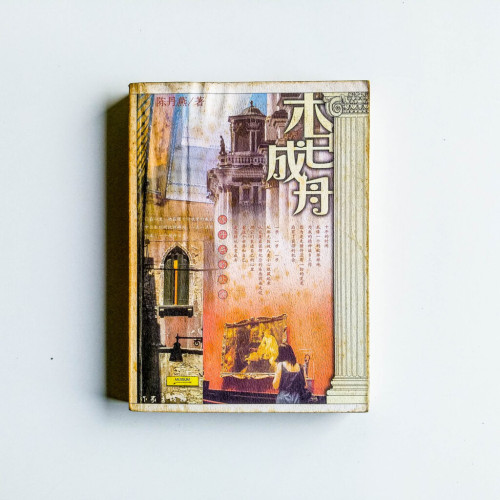木已成舟 木已成舟