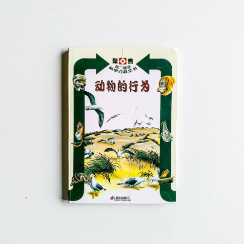 動物的行為 動物的行為