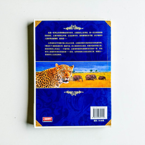 狂野非洲精華特輯 狂野非洲精華特輯