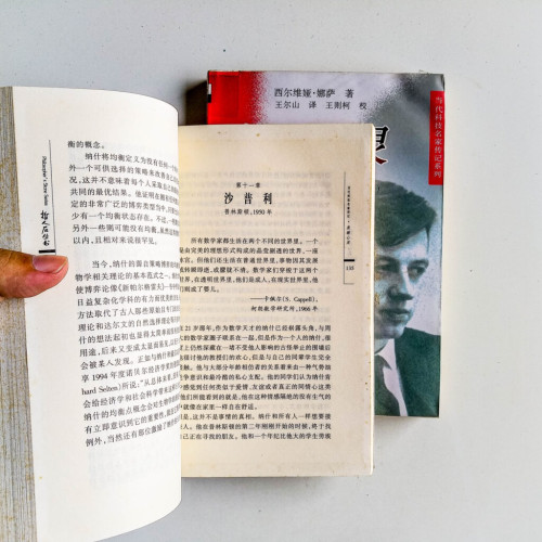 美麗心靈——納什傳(2冊) 美麗心靈——納什傳(2冊)