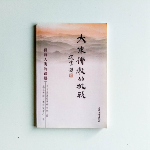 大乘佛教的挑戰 大乘佛教的挑戰
