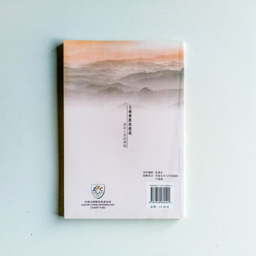 大乘佛教的挑戰 大乘佛教的挑戰
