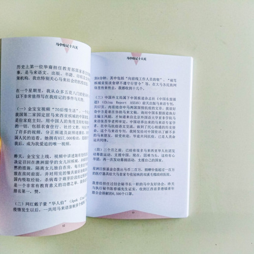 馬中疫記十六天 馬中疫記十六天
