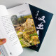 再走出,又走出 再走出,又走出