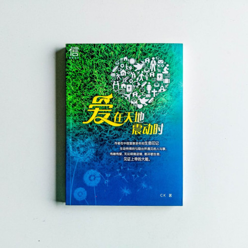 愛在天地震動時 愛在天地震動時
