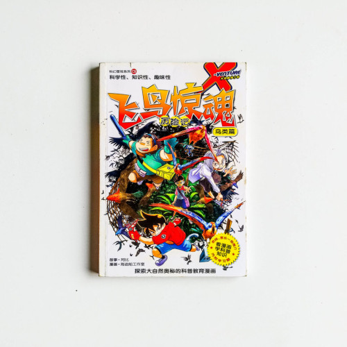 飛鳥驚魂歷險記 飛鳥驚魂歷險記