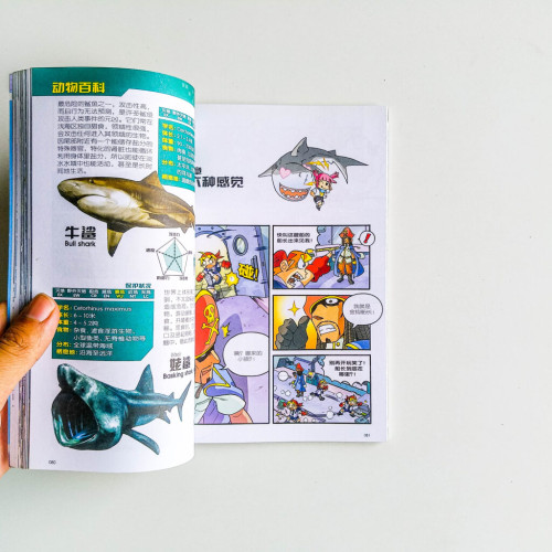 海洋爭霸戰 · 大白鯊VS旗魚 海洋爭霸戰 · 大白鯊VS旗魚