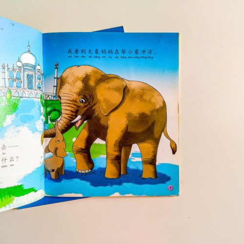 動物大世界 / 樹上奇觀(2冊) 動物大世界 / 樹上奇觀(2冊)