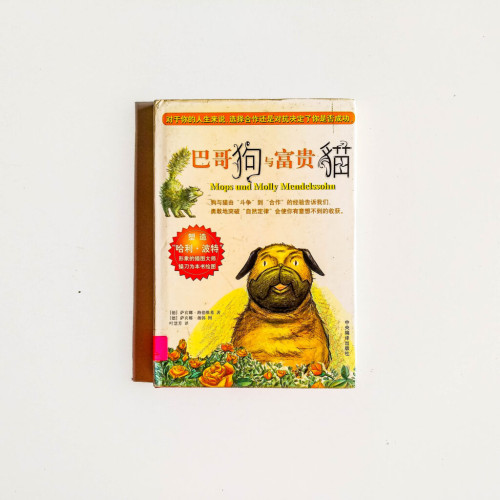 巴哥狗與富貴貓 巴哥狗與富貴貓