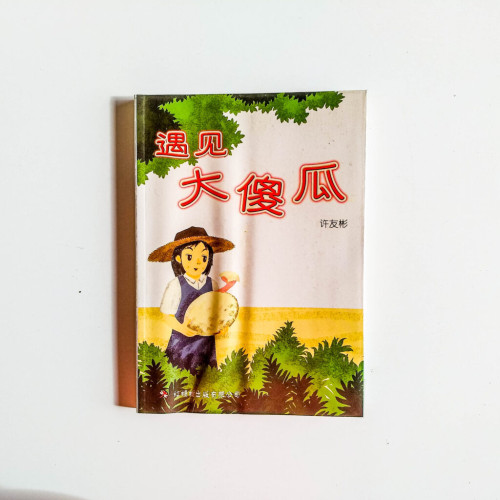 遇見大傻瓜 遇見大傻瓜