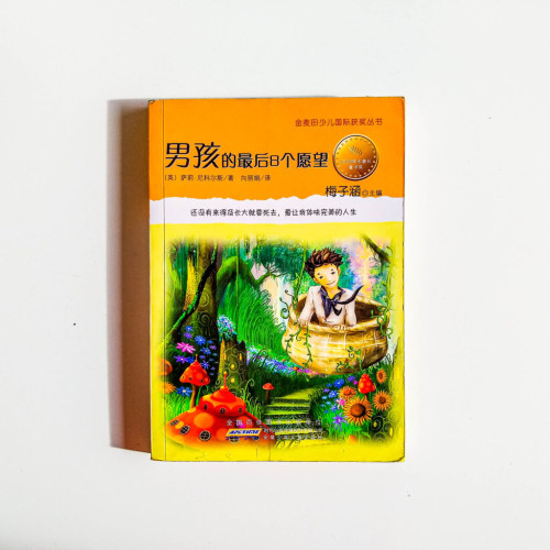 男孩的最後8個願望 男孩的最後8個願望