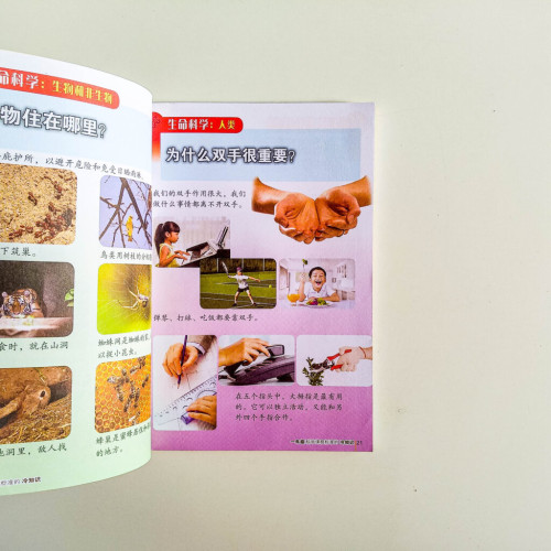 一年級科學課程標準的冷知識 一年級科學課程標準的冷知識