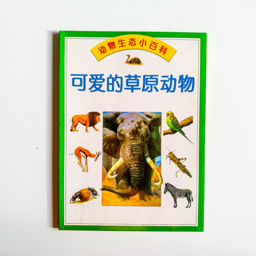 可愛的草原動物 可愛的草原動物