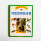 可愛的草原動物 可愛的草原動物