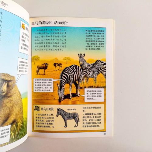 可愛的草原動物 可愛的草原動物