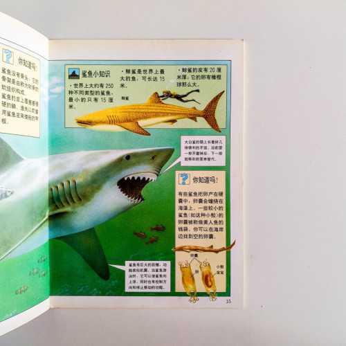 多變的海洋動物 多變的海洋動物