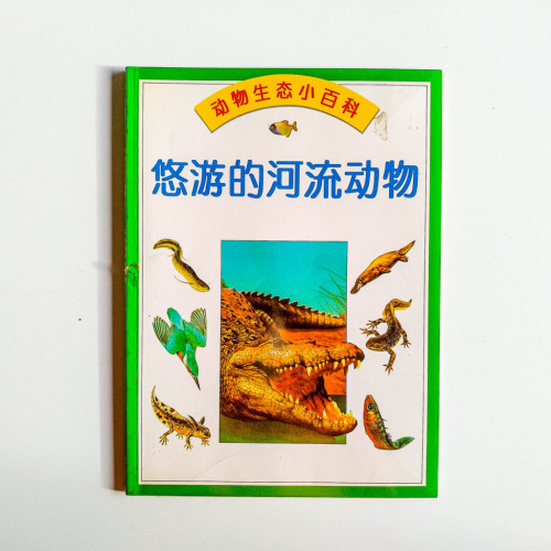 悠游的河流動物 悠游的河流動物