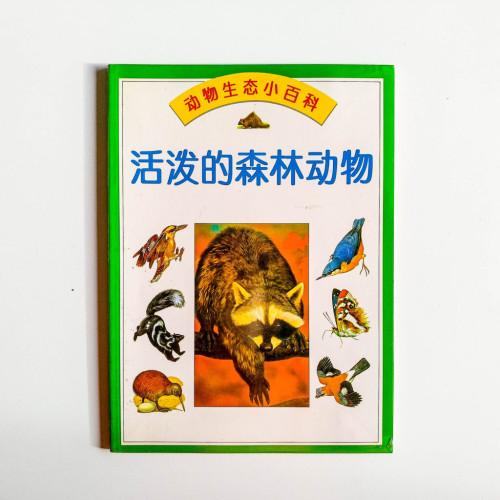 活潑的森林動物 活潑的森林動物