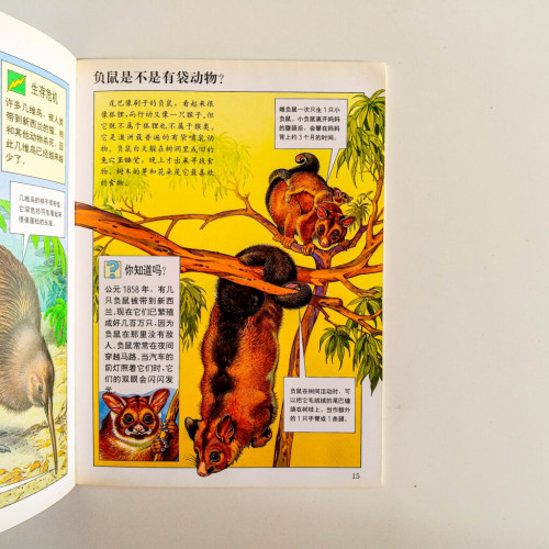 活潑的森林動物 活潑的森林動物