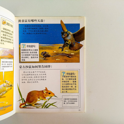罕見的沙漠動物 罕見的沙漠動物