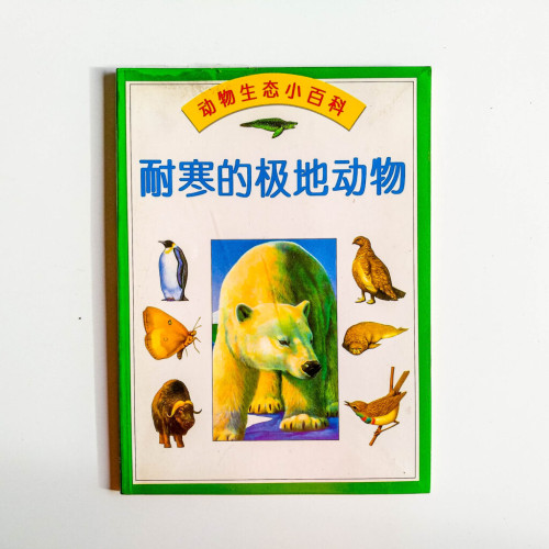 耐寒的極地動物 耐寒的極地動物