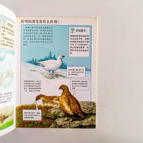 耐寒的極地動物 耐寒的極地動物