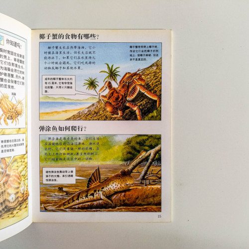 奇特的海岸動物 奇特的海岸動物