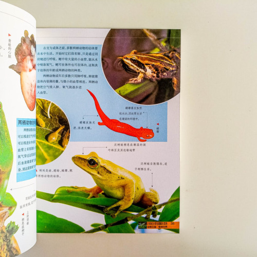 圖解大百科：動物王國&植物世界