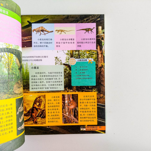 圖解大百科:恐龍王國&昆蟲世界 圖解大百科:恐龍王國&昆蟲世界