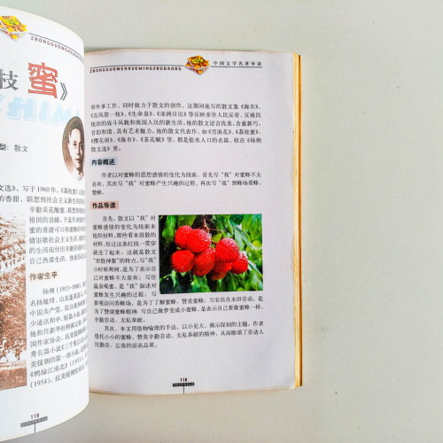 最經典的中國文學名著導讀(少年彩圖版) 最經典的中國文學名著導讀(少年彩圖版)