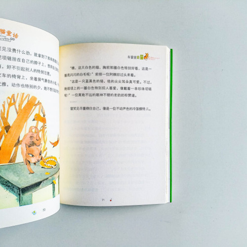 車窗前的貓 車窗前的貓