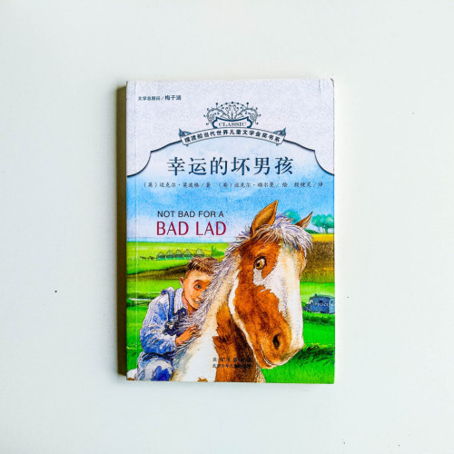 幸運的壞男孩 幸運的壞男孩