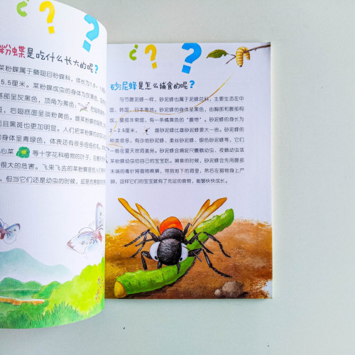 我的昆虫研究
