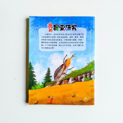 我的昆虫研究