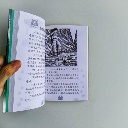 冒險小虎隊:恐龍的墳墓 冒險小虎隊:恐龍的墳墓